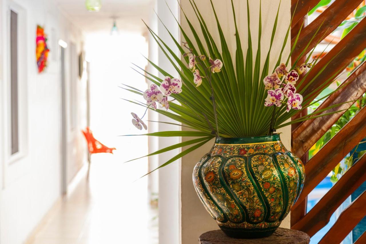 Mestizo Gallery 图卢姆 外观 照片